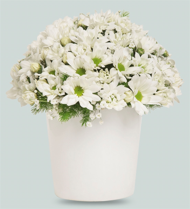 Adıyaman MASAL Çiçekçilik & Organizasyon