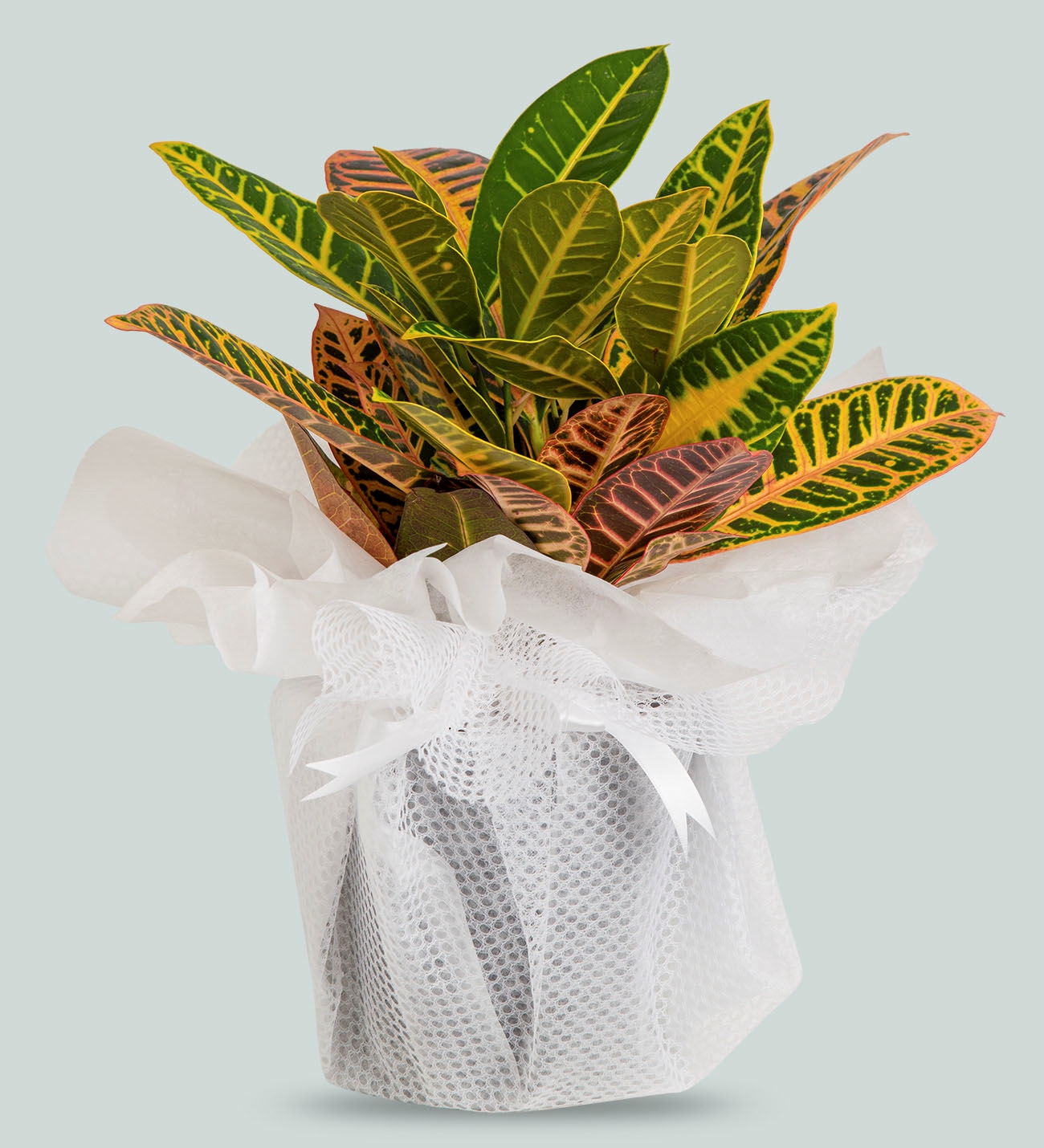 Adıyaman MASAL Çiçekçilik & Organizasyon